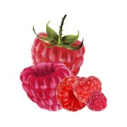 10 ml Premium e-liquid 00mg - RASPBERRY